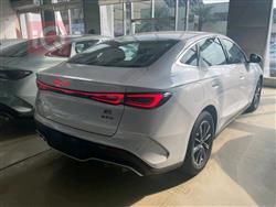 بي واي دي سيل 06 DM-i